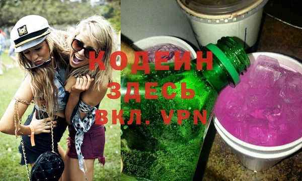 индика Абинск