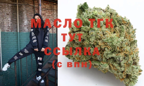 индика Абинск