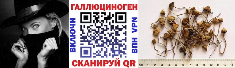 omg вход  Зарайск  Галлюциногенные грибы Psilocybine cubensis 